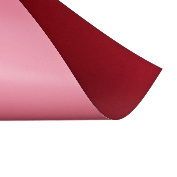 Картон цветной двусторонний А4, 10 листов, 20 цветов, Calligrata TOP мелованный 230 г/м2, в папке