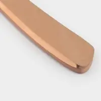 Нож столовый Magistro &laquo;Эми&raquo;, длина 22.5 см, на подвесе, нержавеющая сталь, цвет бронзовый