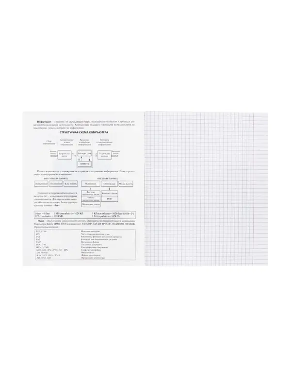 Предметная тетрадь по информатике Hatber &laquo;Приключения кота Пирожка&raquo;, 48 листов, в клетку, со справочным материалом, обложка из мелованной бумаг...