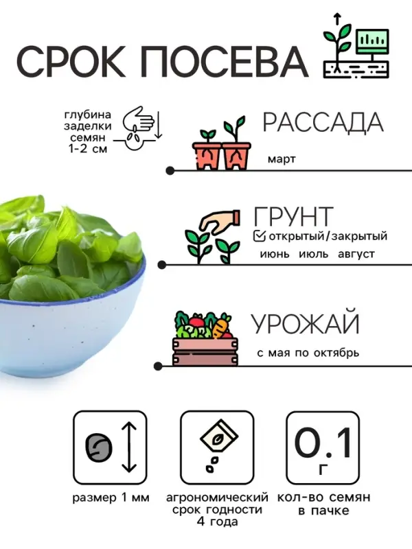 Семена Базилик &laquo;Зелёный ароматный&raquo;, 0.1 г, среднеранний, &laquo;Рецепты дедушки Никиты&raquo;