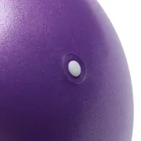 Мяч для йоги и пилатеса Sangh, d=25 см, 100 г, фиолетовый