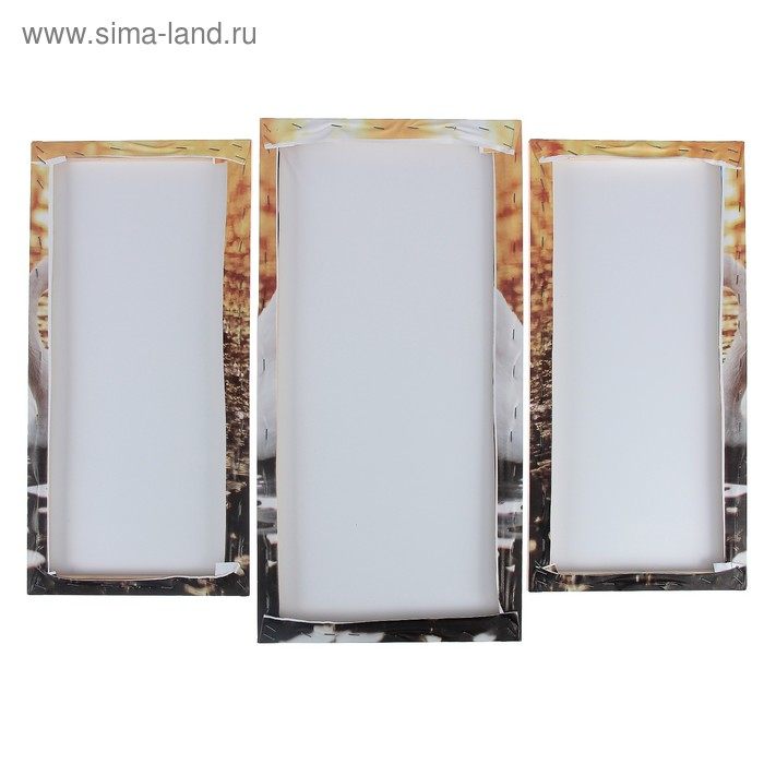 Модульная картина  Модульная картина "Лебединое озеро"  (2-25х52; 1-30х60) 60х80 см