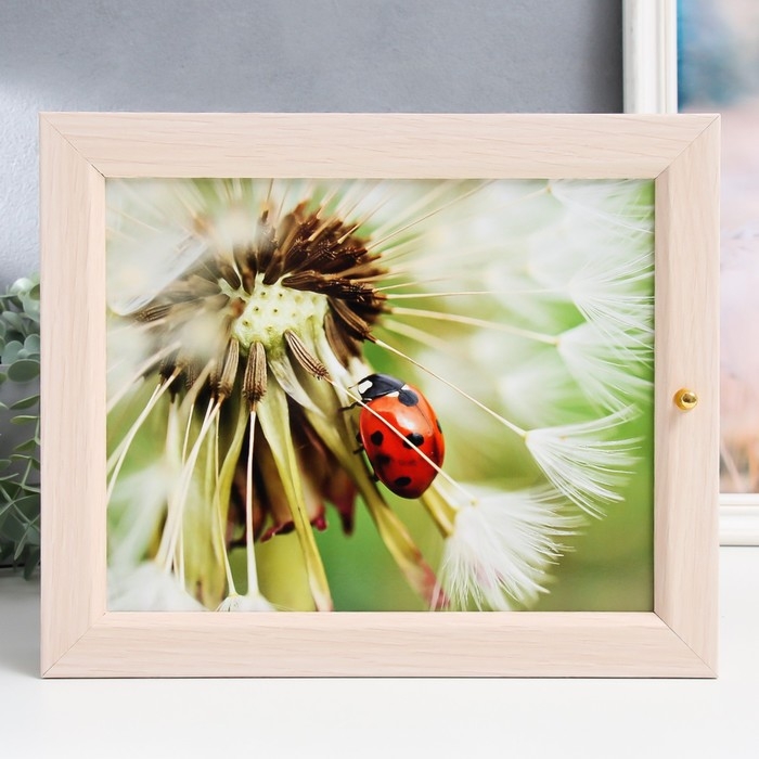 Ключница Ключница "Божья коровка" 24Х29 см