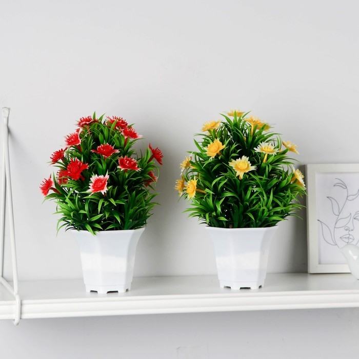 Бонсай в горшке Бонсай в горшке "Скабиоза" 11х21 см, микс