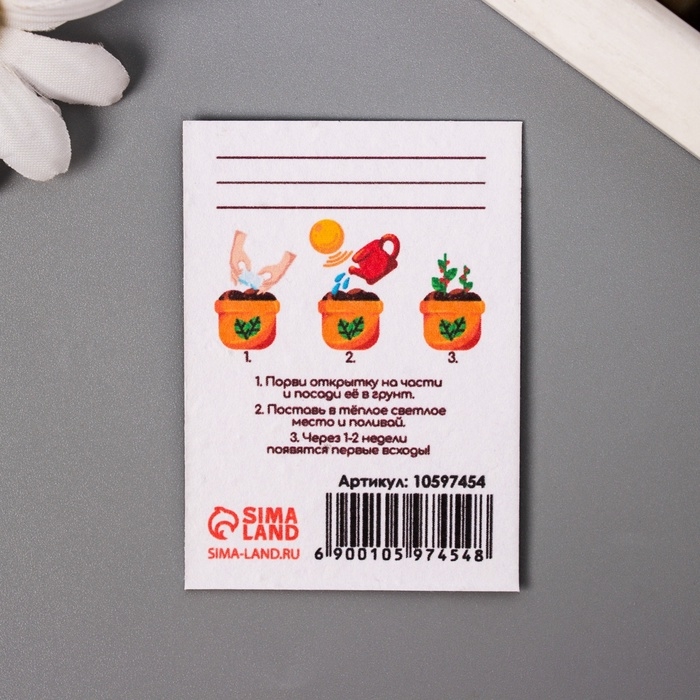 Набор открыток с семенами  Набор открыток с семенами "Вырасти сам" "Бабочки" 5*7см