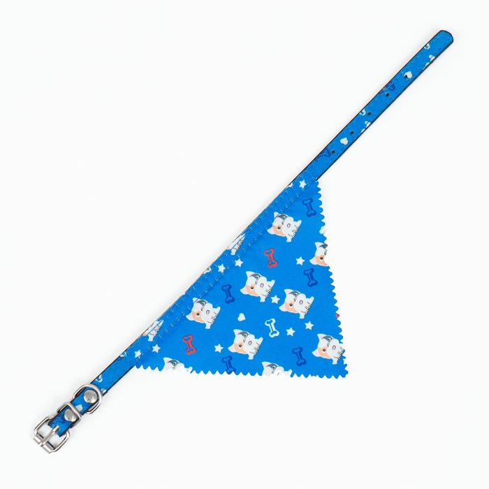 Ошейник с косынкой Ошейник с косынкой "Яркая жизнь", 32 х 1 см, синий