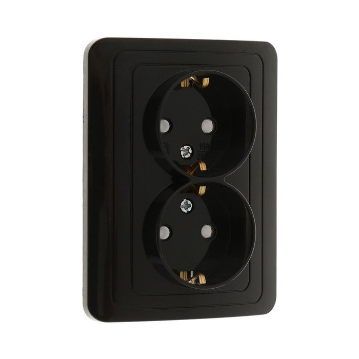 Розетка двухместная со шторкой Luazon Lighting  Розетка двухместная со шторкой Luazon Lighting "Орион", 16 А, скрытая, с з/к, черная