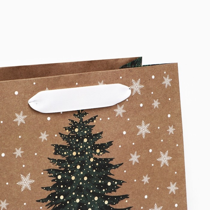 Пакет подарочный новогодний крафтовый квадратный «Новогодняя красавица», 22 х 22 х 11 см, Новый год Пакет подарочный новогодний крафтовый квадратный «Новогодняя красавица», 22 х 22 х 11 см, Новый год