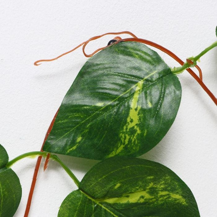 Лиана "Лист с полоской" 250 см (в упаковке 5 шт)