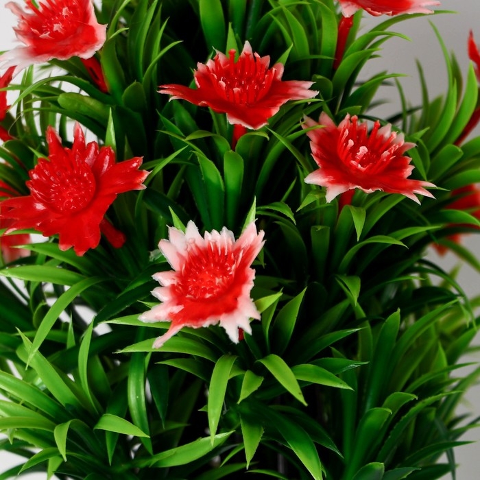 Бонсай в горшке Бонсай в горшке "Скабиоза" 11х21 см, микс