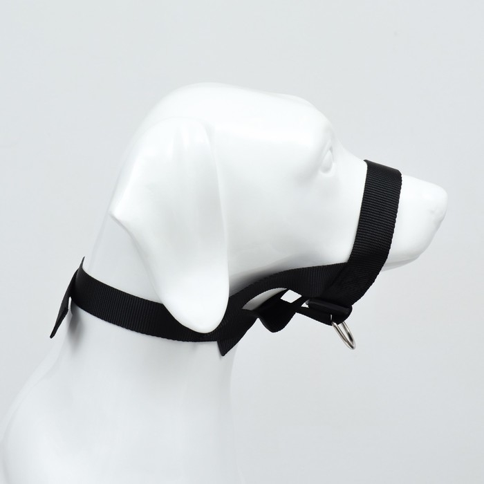 Недоуздок-намордник для собак строгий, размер L, ОМ 18-30 см, ОШ 16-24 см, черный Недоуздок-намордник для собак строгий, размер L, ОМ 18-30 см, ОШ 16-24 см, черный