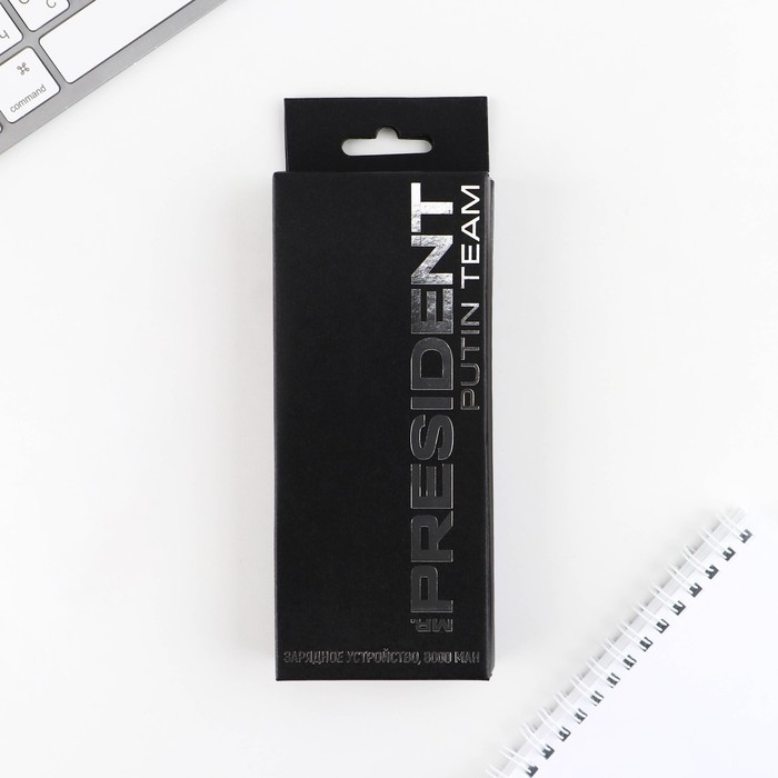 Зарядное устройство &laquo;Russian sport&raquo;, 8000мА,модель PB-25, 14,5 х 6,9 см