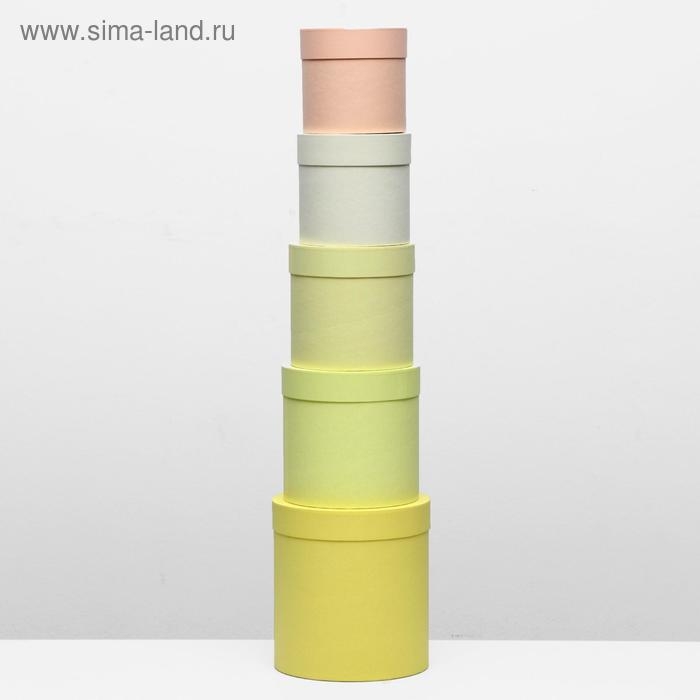 Набор круглых коробок 5 в 1 UPAK LAND ,Солнечный, 23 х 23 х 25 - 15 х 15 х 15 см Набор круглых коробок 5 в 1 UPAK LAND ,Солнечный, 23 х 23 х 25 - 15 х 15 х 15 см