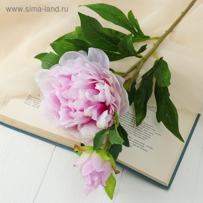 Цветы искусственные Цветы искусственные "Пион дуо" 12х60 см, сиреневый