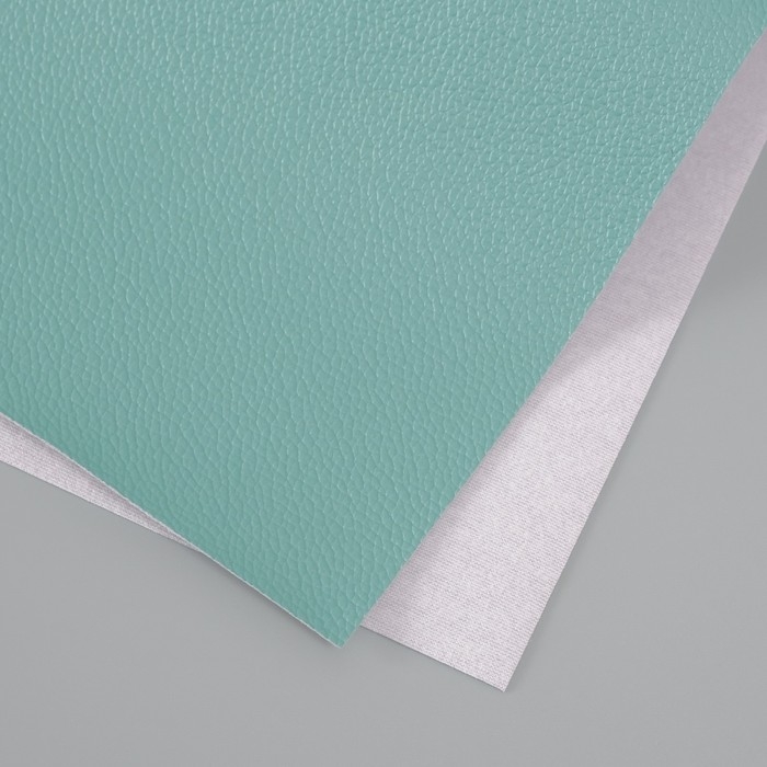 Лист для творчества иск.кожа Лист для творчества иск.кожа "Рисунок Личи" мятный лист 33х20 см толщина 0,7 мм