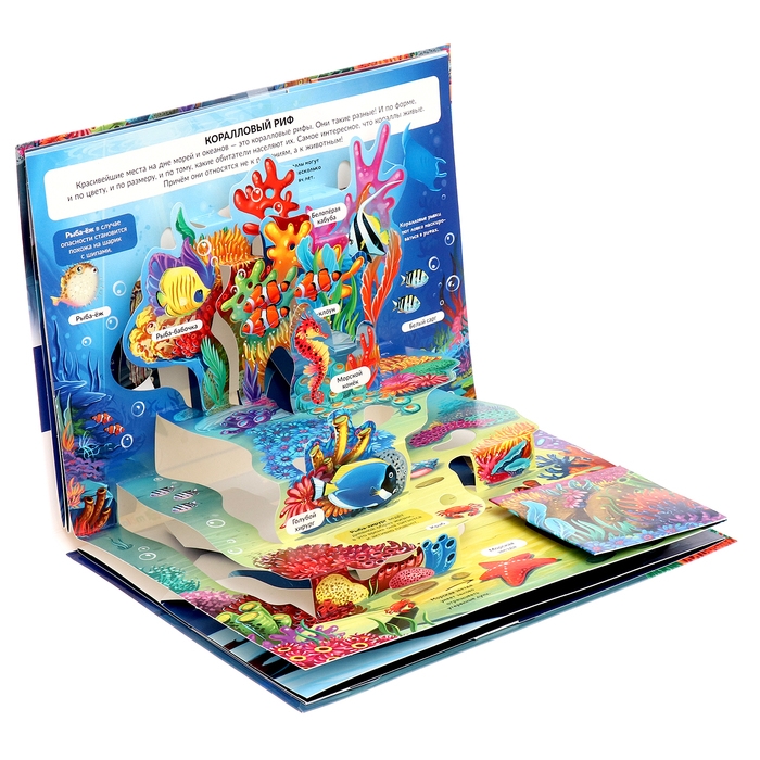 Энциклопедия-панорамка POP UP «Море» Энциклопедия-панорамка POP UP «Море»