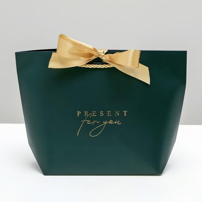 Пакет подарочный, упаковка, Present for you, 19 х 20 х 9 см Пакет подарочный, упаковка, Present for you, 19 х 20 х 9 см