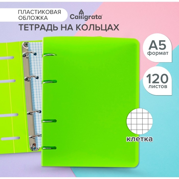 Тетрадь на кольцах A5 120 листов в клетку Calligrata Салатовая, пластиковая обложка, блок офсет Тетрадь на кольцах A5 120 листов в клетку Calligrata Салатовая, пластиковая обложка, блок офсет
