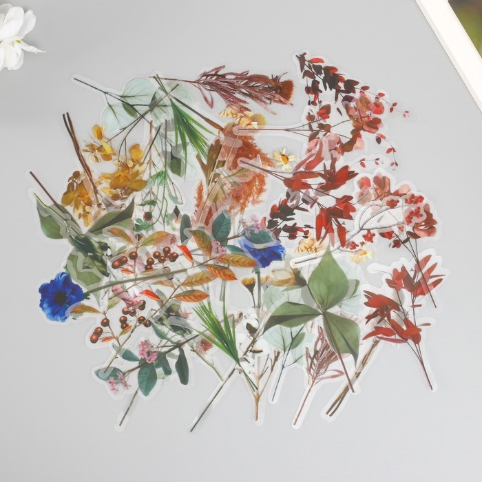 Наклейки для творчества пластик PVC Наклейки для творчества пластик PVC "По лесным тропам" набор 40 шт 9х10.5 см