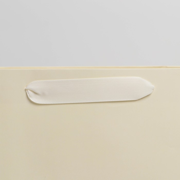 Пакет подарочный ламинированный, упаковка, &laquo;Молочный&raquo;, L 31 х 40 х 11.5 см