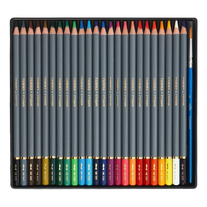 Карандаши акварельные Гамма  Карандаши акварельные Гамма "Студия" 24 цвета, грифель 3.8 мм, картонная коробка, 110822_24