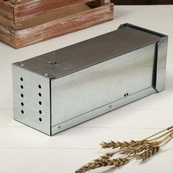 Крысоловка, 29 × 12 × 10 см, металл Крысоловка, 29 × 12 × 10 см, металл
