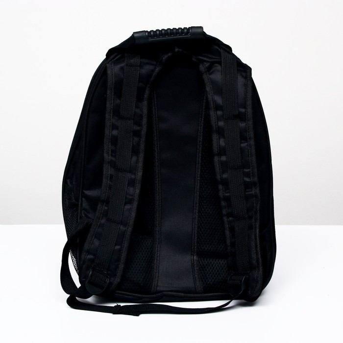 Рюкзак для переноски кошек и собак  Рюкзак для переноски кошек и собак "Кактус", с окном, 32 х 25 х 42 см