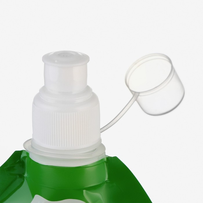 Фляжка для воды, 280 мл, Фляжка для воды, 280 мл, "Крокодил", на карабине, 22 х 12 см