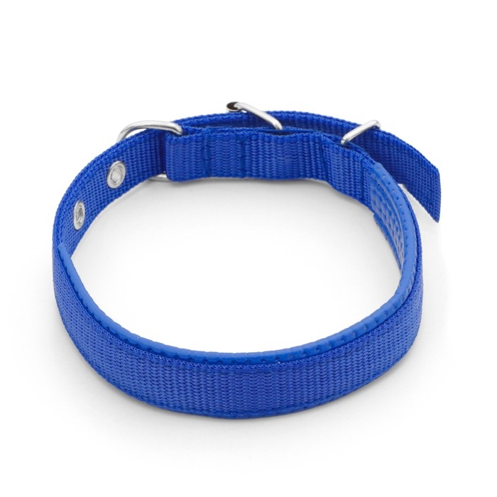 Ошейник Ошейник "Комфорт" комбинированный (полиэстер, искусств. кожа), 45 х 2 см, ОШ 30-39 см, синий
