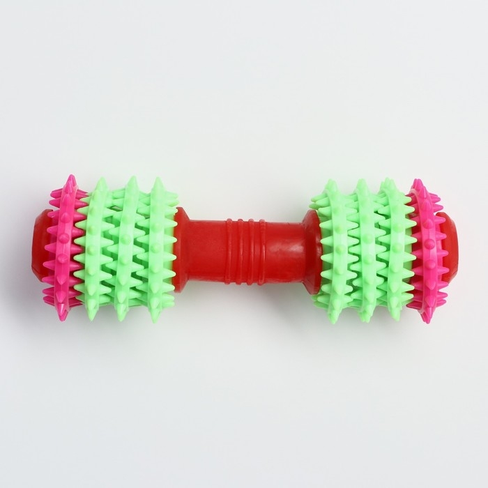 Игрушка жевательная 15,5 х 5,5 см, красная/зелёная/розовая Игрушка жевательная 15,5 х 5,5 см, красная/зелёная/розовая