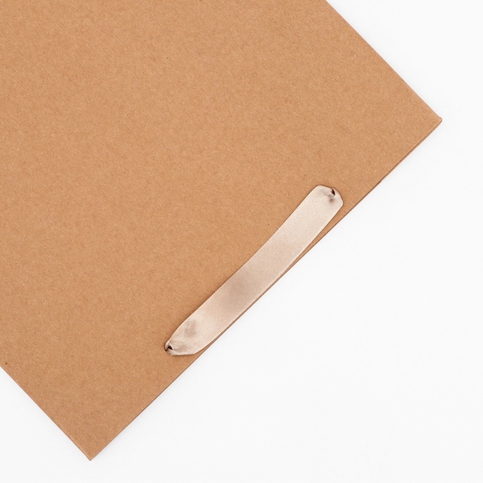 Пакет крафт без печати, 28 х 10 х 33 см 260 г/м2 Пакет крафт без печати, 28 х 10 х 33 см 260 г/м2