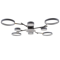 Люстра с ПДУ 2300/9GR LED 190Вт 3000-6000К серый 85х85х9 см BayerLux