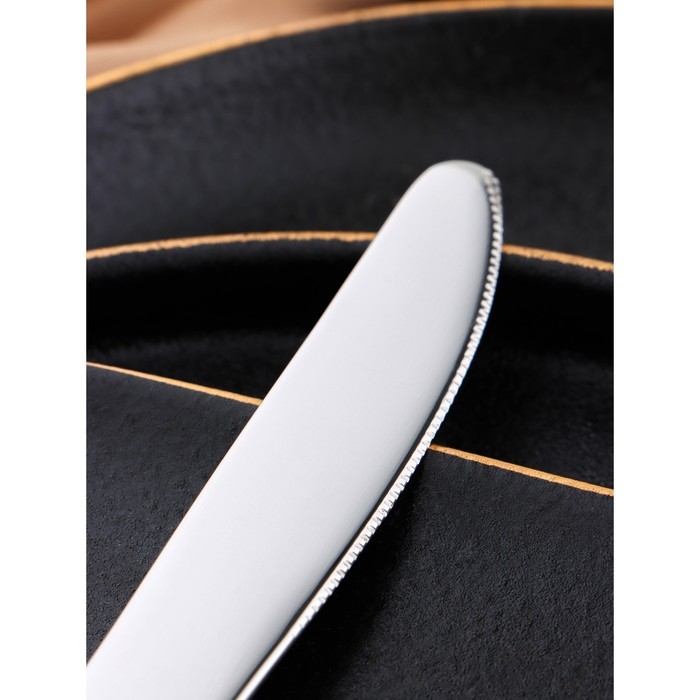 Нож десертный «Беркли», h=20,4 см, цвет серебряный Нож десертный «Беркли», h=20,4 см, цвет серебряный