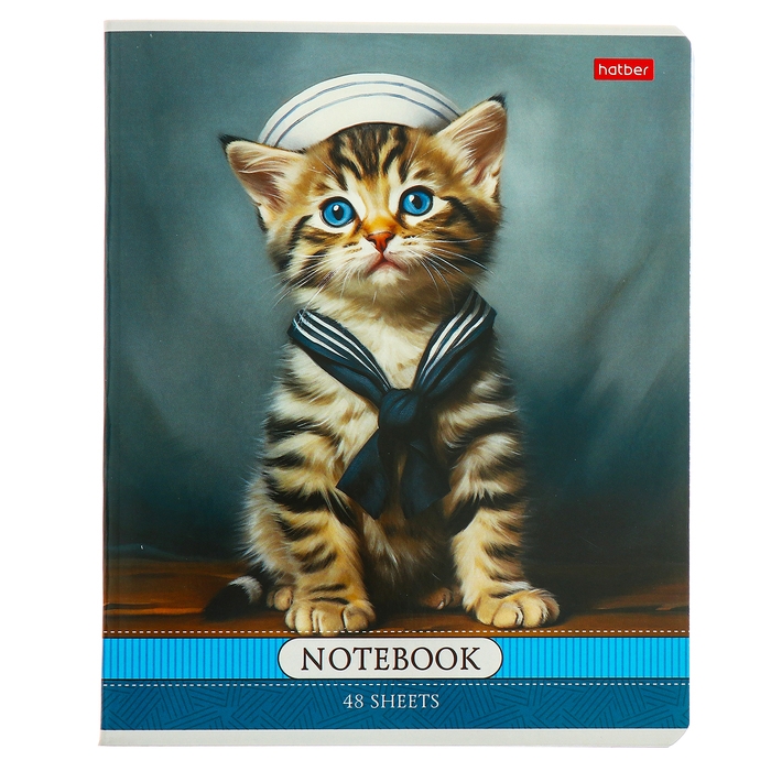 Тетрадь 48л кл Котики-артисты, обл мел карт, скругл угл, бл 65г/м2, МИКС