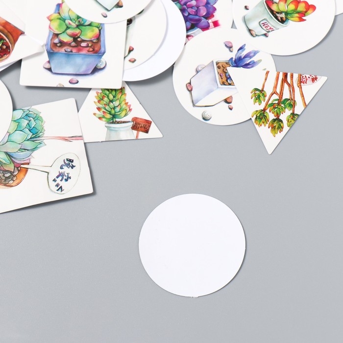 Набор наклеек Набор наклеек "Суккуленты" 40 шт в коробочке 3,8х3,8 см