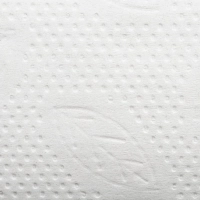 Бумага туалетная листовая д/дисп Торк/Tellus ТЗ 1сл 250л 40 пач/уп_114272