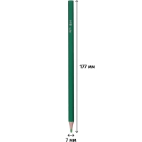 Карандаши цветные шестигранные ZOO 12 цв. (пластиковые) 29С 1740-08