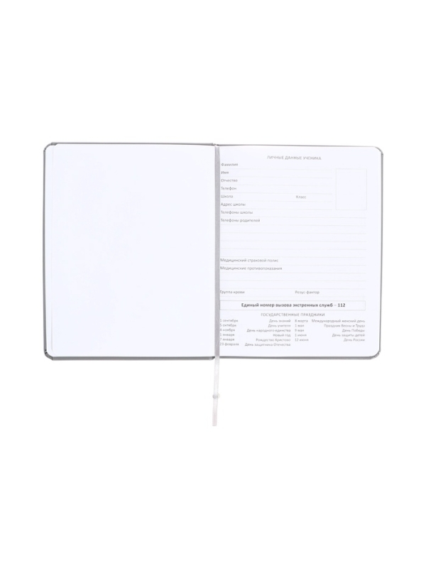 Дневник школьный 1-11 класс, deVENTE &laquo;Я ОК&raquo;, искусственная кожа, шелкография