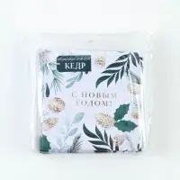 Набор аромасаше в конверте &laquo;Хвоя&raquo;, 10 шт., 11 х 11 см