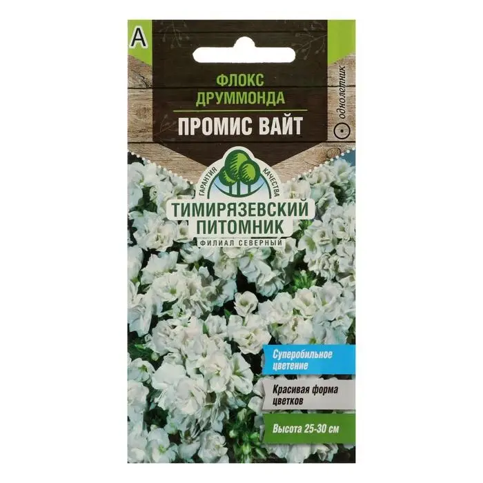 Семена цветов Флокс друммонда  Семена цветов Флокс друммонда "Промис Вайт", 10 шт