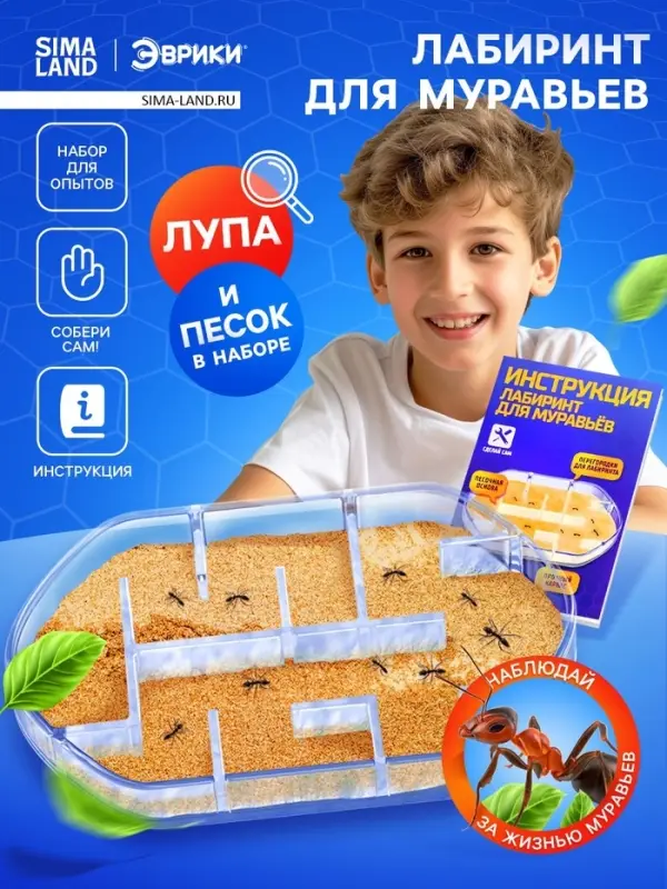 Набор для опытов &laquo;Лабиринт для муравьёв&raquo;