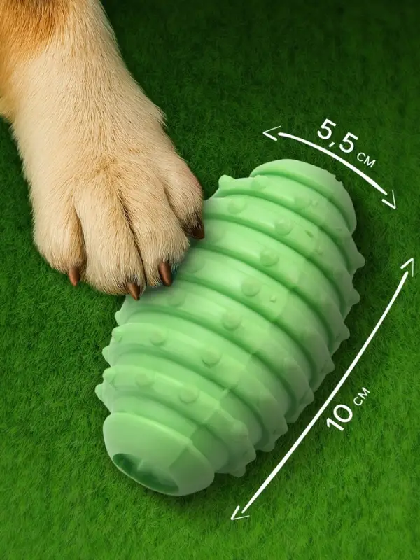Жевательная игрушка для собак &laquo;Шантажист&raquo;, 10 см, TPR, зелёная