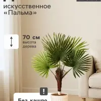 Дерево искусственное &laquo;Пальма&raquo;, h=70 см