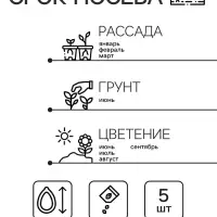 Семена цветов Пеларгония "Магия лета", алая, F2,5 шт.