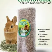 Сено луговое Clean Forest, 400 г