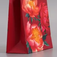 Пакет подарочный "Яркий акцент" ламинированый 11,5 х 14,5 х 6,5 см