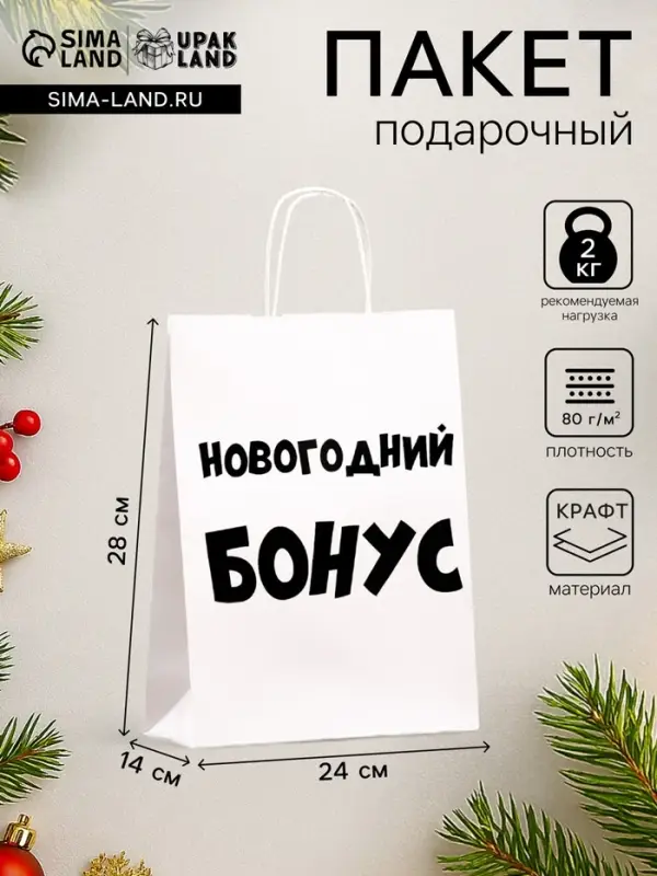 Пакет бумажный подарочный новогодний крафт &laquo;Новогодний бонус&raquo;, белый, 28&times;24&times;14 см