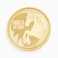 Монета новогодняя сувенирная «Богатого 2026», диам. 2,2 см