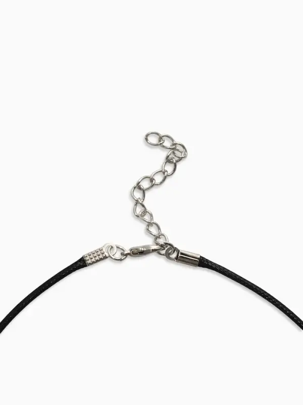 Кулон на шнурке &laquo;Клык волка&raquo;, МИКС, 45 см