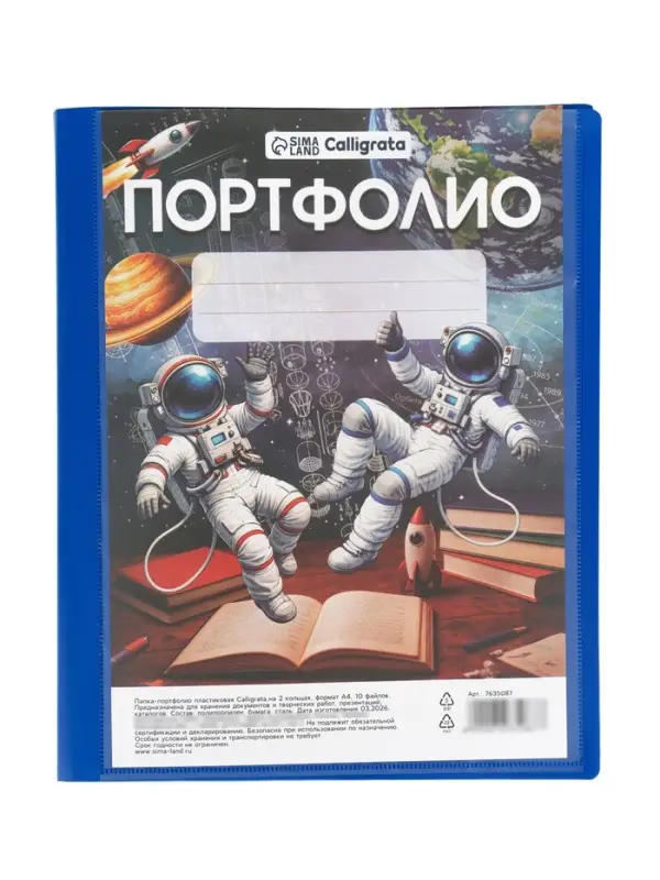 Папка-портфолио А4, Calligrata &laquo;Космические друзья&raquo;, пластиковая, на 2 кольцах, для дошкольника, 10 файлов